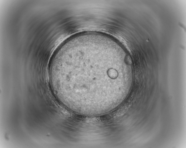 X0000094970887200712201220