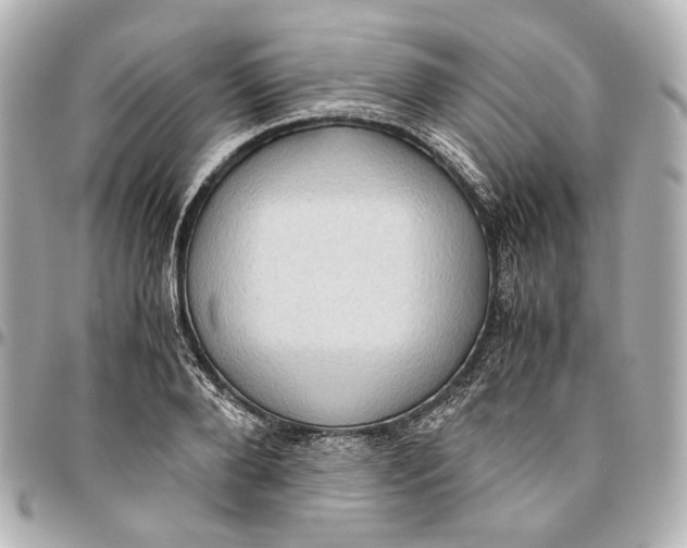 X0000094970888200712201220