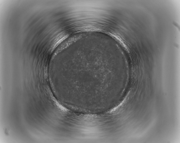 X0000094970889200712201220