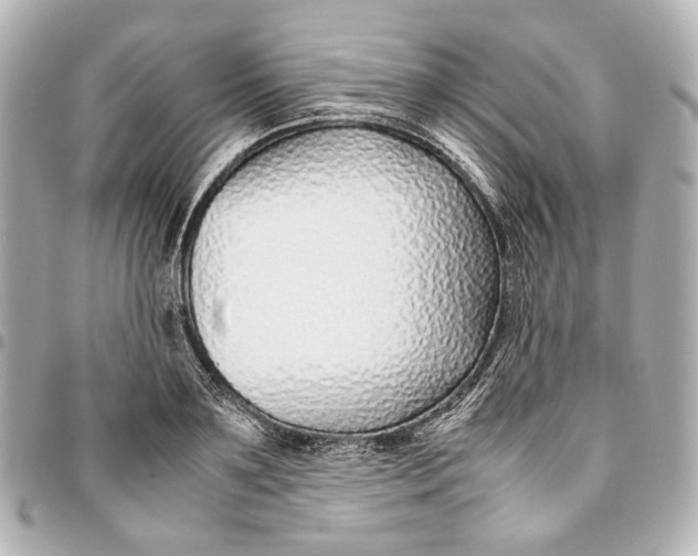 X0000094970891200712201220