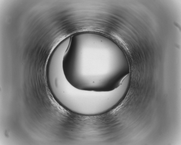 X0000094970892200712201220