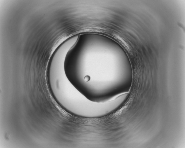 X0000094970893200712201220