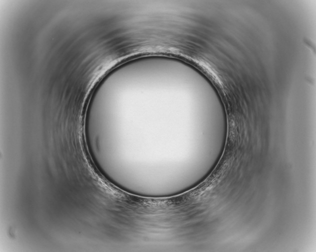 X0000094970895200712201220