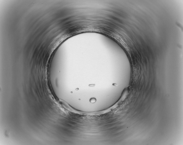 X0000094970898200712201220