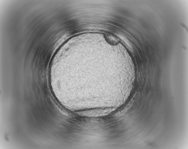 X0000094970899200712201220