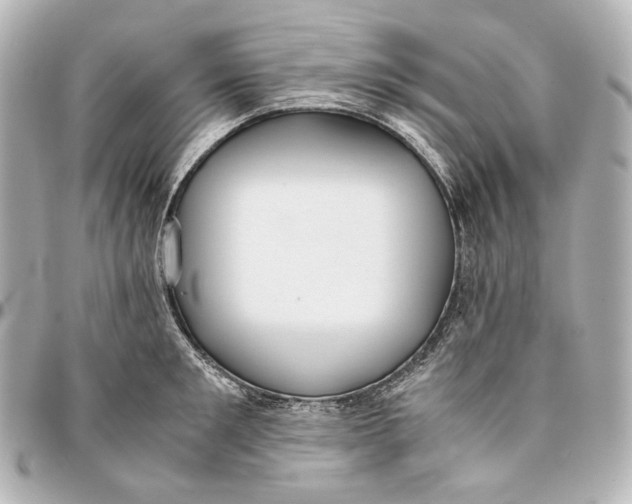 X0000094970901200712201220