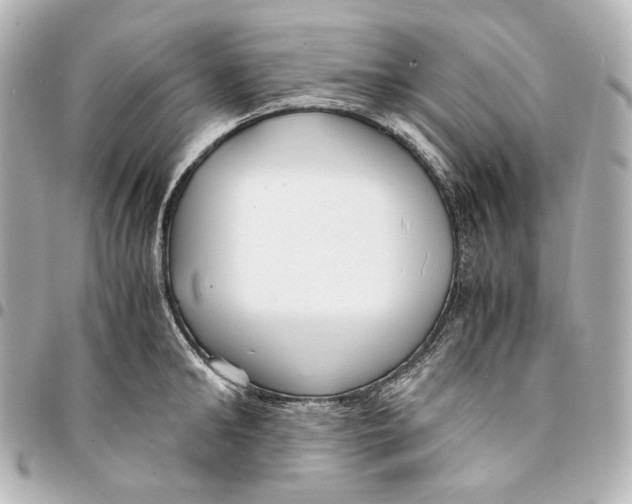 X0000094970902200712201220