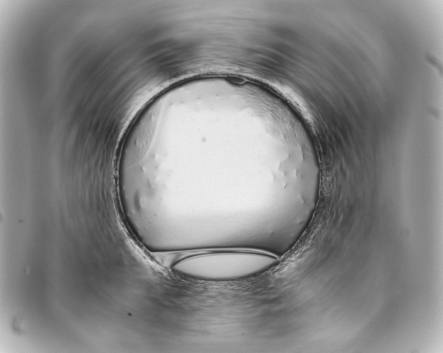 X0000094970903200712201220