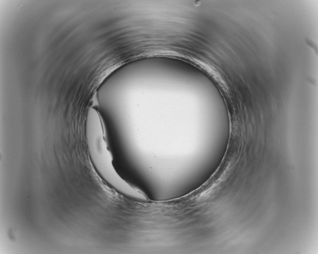 X0000094970905200712201220