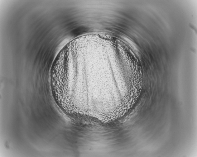 X0000094970907200712201220