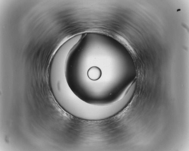 X0000094970908200712201220