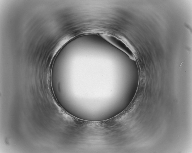 X0000094970909200712201220