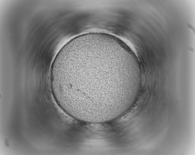 X0000094970911200712201220