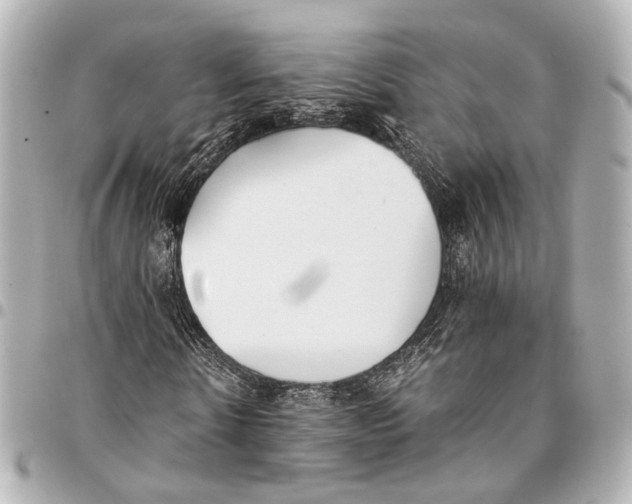 X0000094970914200712201219