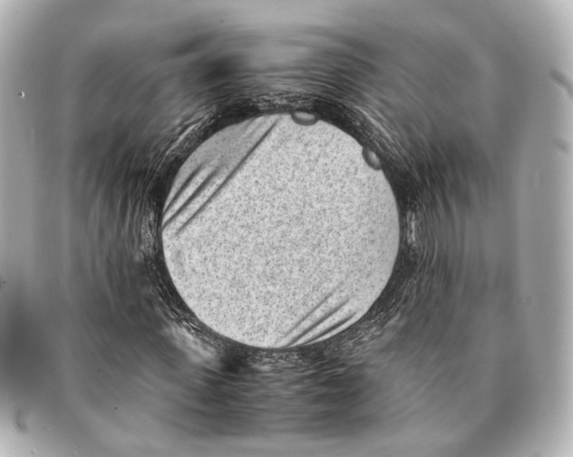 X0000094970915200712201219