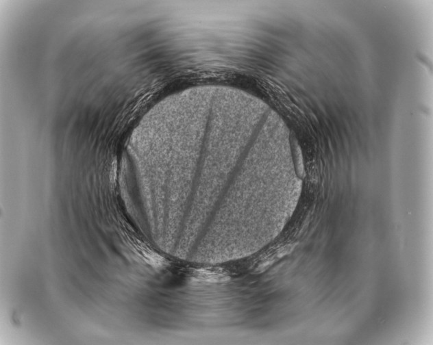 X0000094970916200712201219