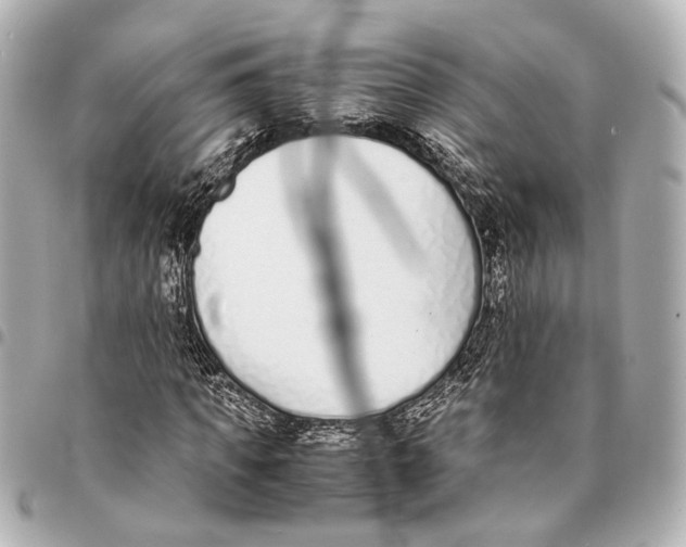 X0000094970917200712201219