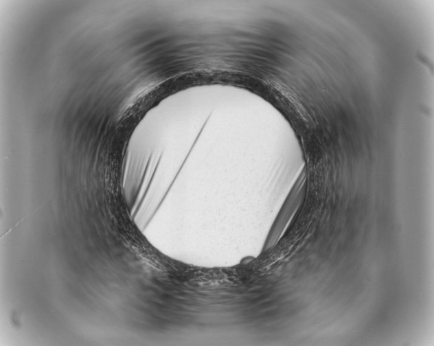 X0000094970919200712201219