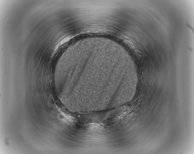 X0000094970920200712201219