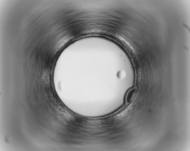 X0000094970921200712201219