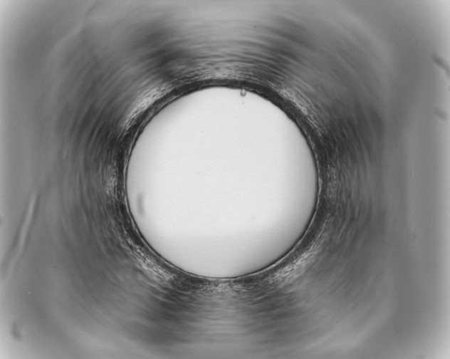 X0000094970922200712201219