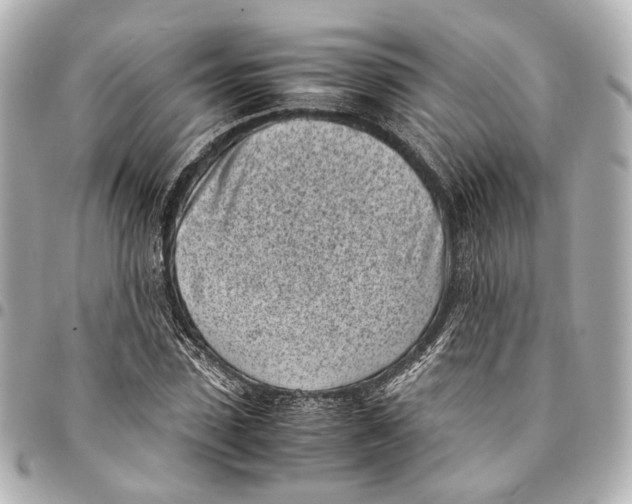 X0000094970923200712201219