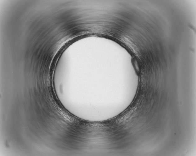 X0000094970924200712201219