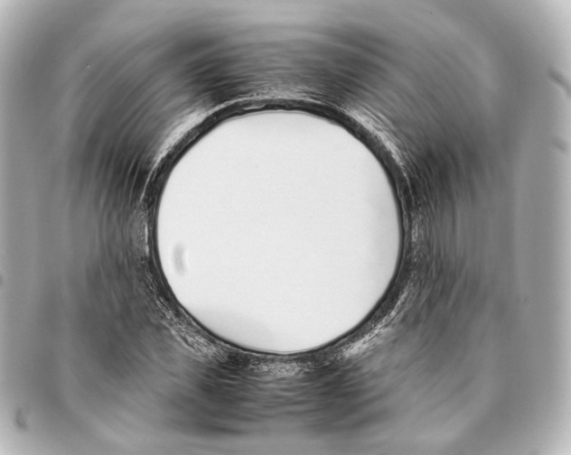 X0000094970925200712201219