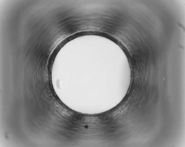 X0000094970927200712201219