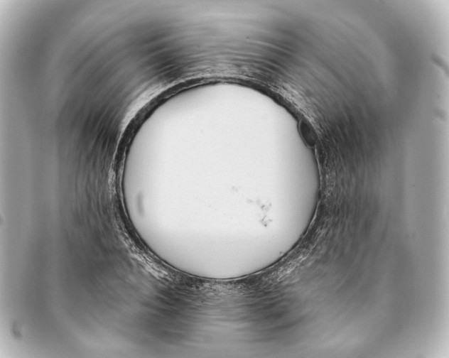 X0000094970928200712201219