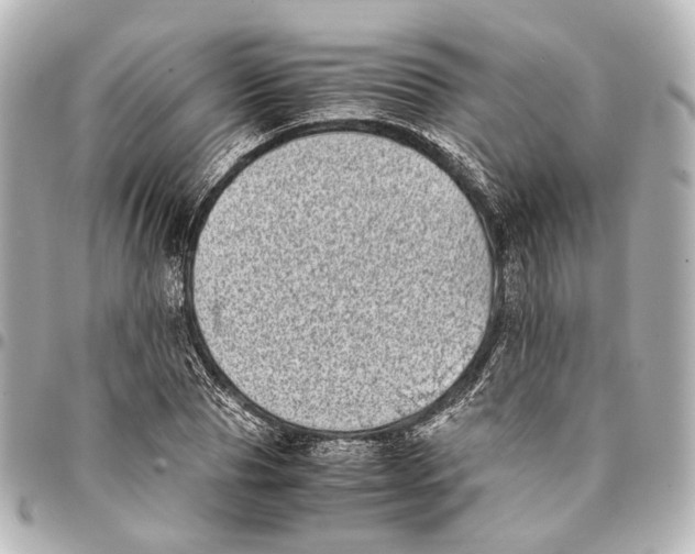 X0000094970929200712201219