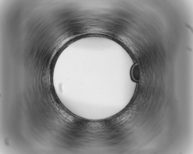 X0000094970931200712201219