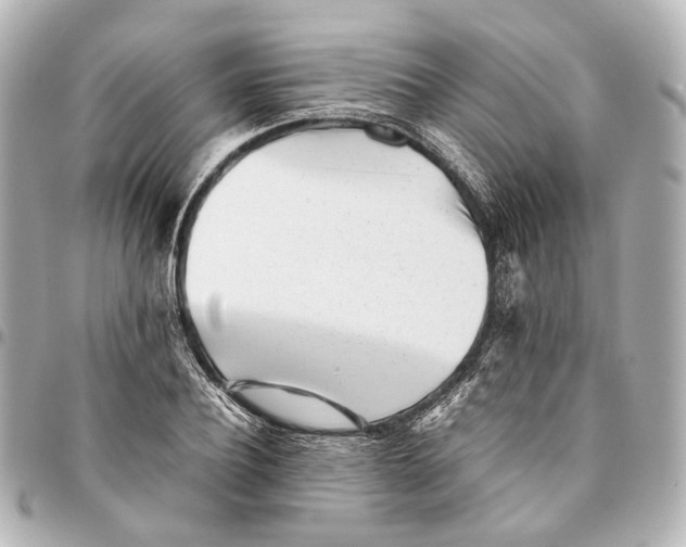 X0000094970932200712201219