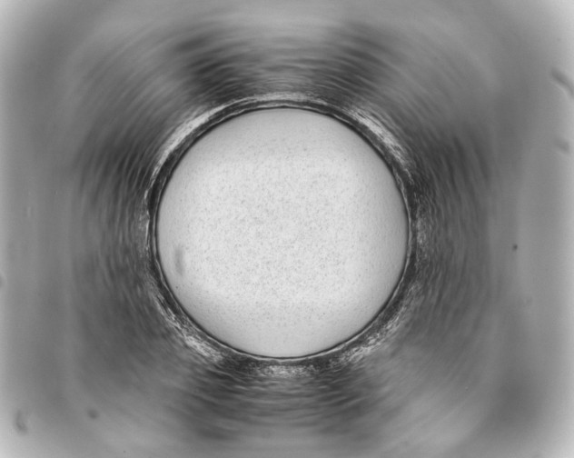 X0000094970933200712201219