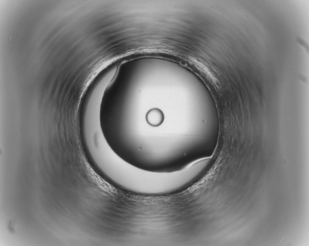 X0000094970934200712201219