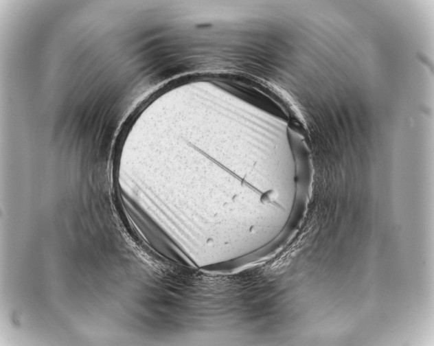 X0000094970935200712201219