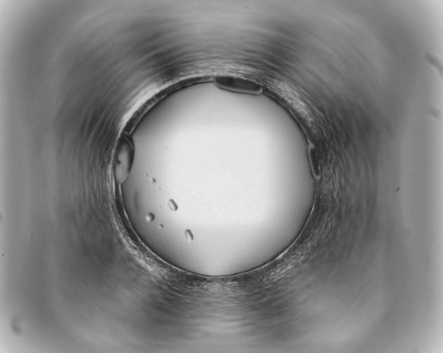 X0000094970936200712201219