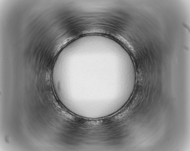 X0000094970937200712201219