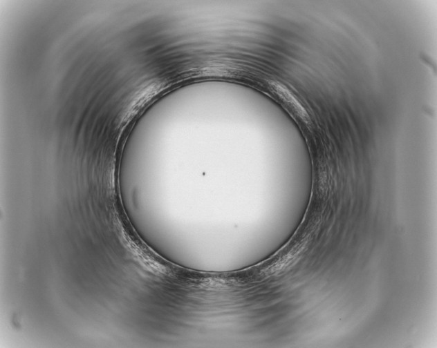 X0000094970938200712201219