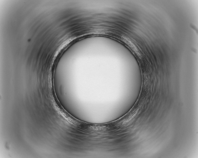 X0000094970939200712201219