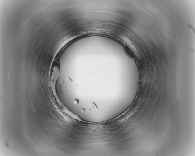 X0000094970940200712201219