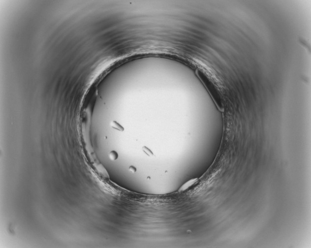 X0000094970942200712201219