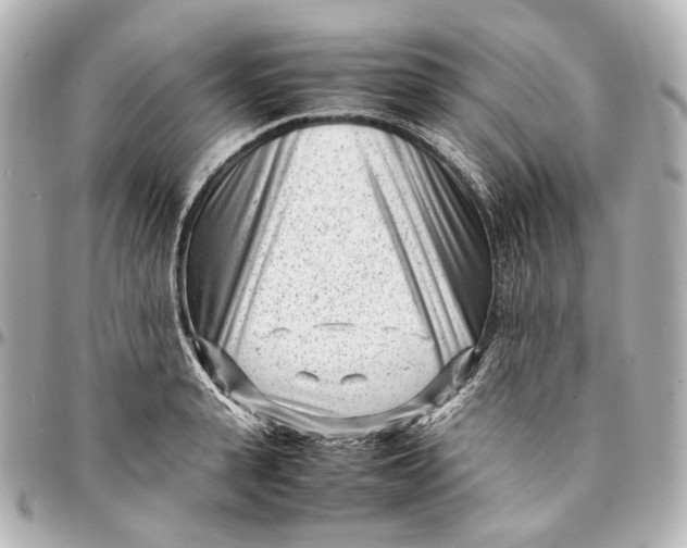 X0000094970943200712201219