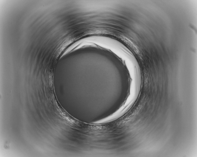 X0000094970945200712201219