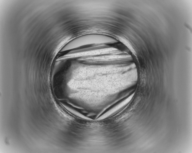 X0000094970946200712201219