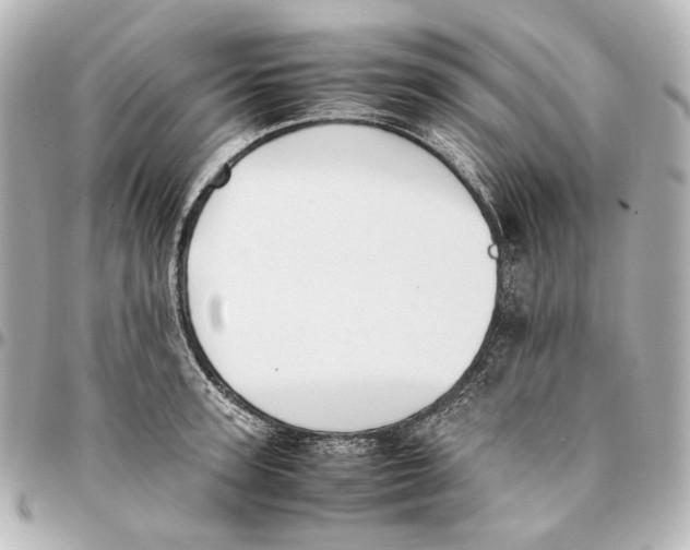 X0000094970947200712201219