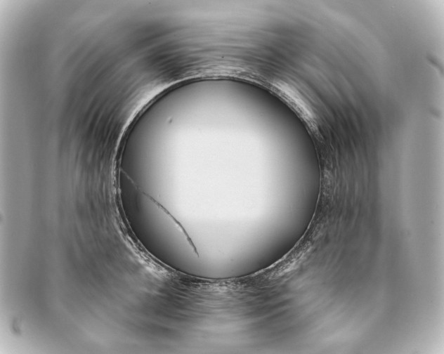 X0000094970948200712201220