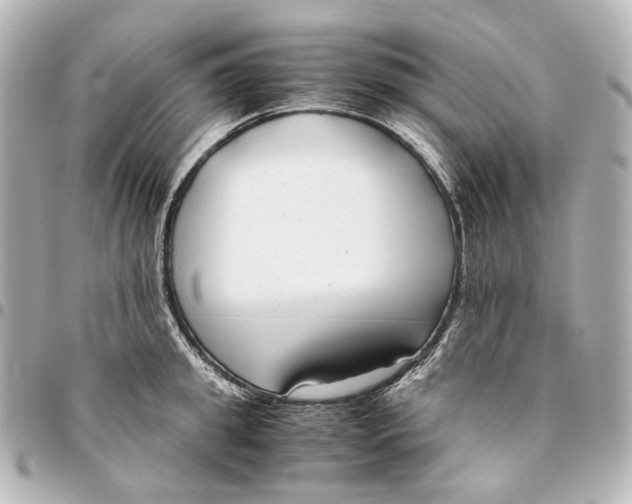 X0000094970949200712201220