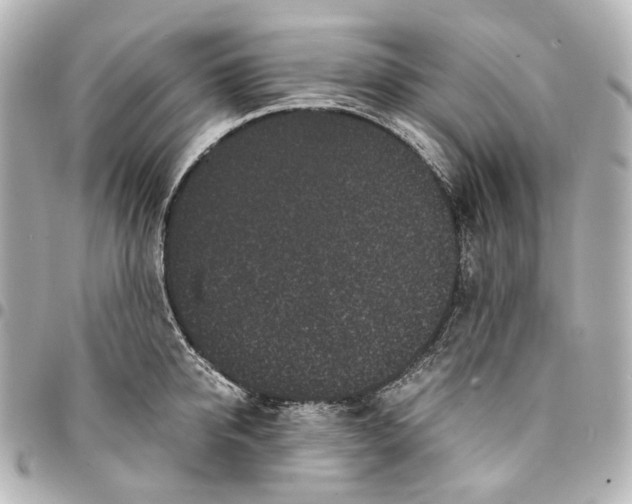 X0000094970950200712201220