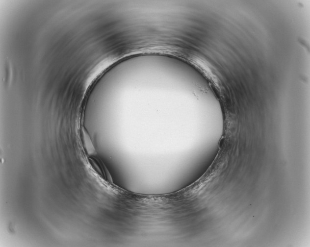 X0000094970952200712201220